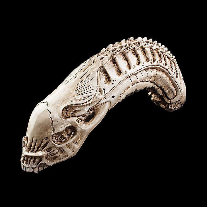 Alien Xenomorph Skull Model Decor