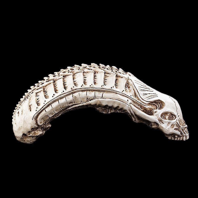 Alien Xenomorph Skull Model Decor