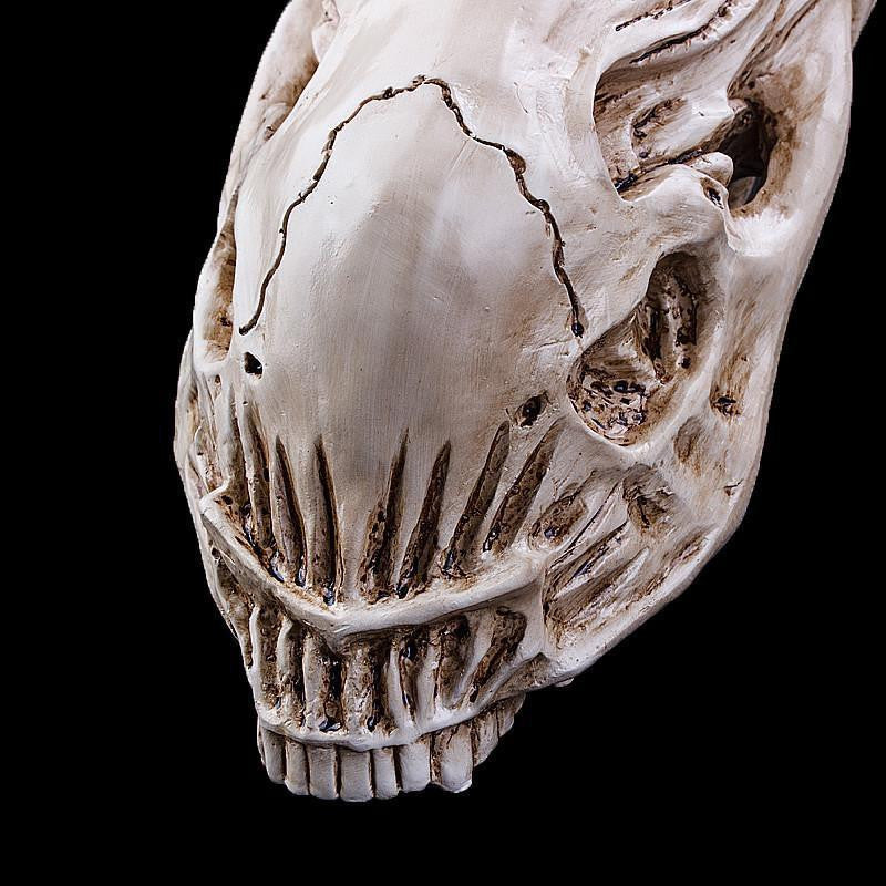 Alien Xenomorph Skull Model Decor